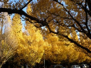 gaien-4-1