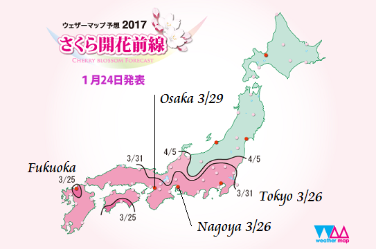 mapa prevision de floracion sakura cerezos 2017 japon