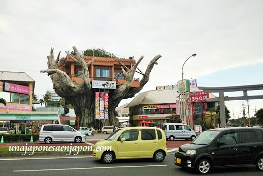 El restaurante sobre un árbol en Okinawa que ya no existe – ????????????????????